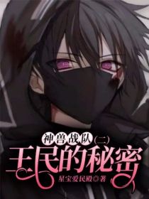 神兽战队：王民的秘密（二）