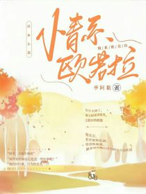 人在奥特：情系欧若拉