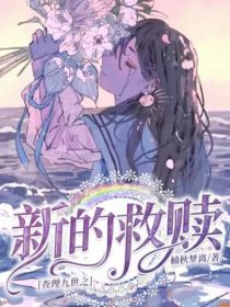 查理九世之新的救赎