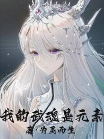 我的武魂是元素