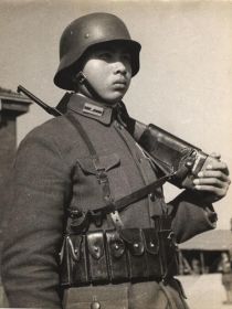 铁血赵韦乐