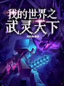 我的世界之武灵天下