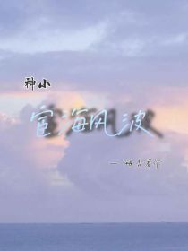 神兵小将之宦海风波