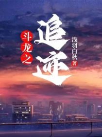 斗龙之追迹