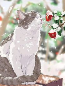 凹凸世界：格瑞的哥哥