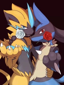 宝可梦：我与捷拉奥拉的生活