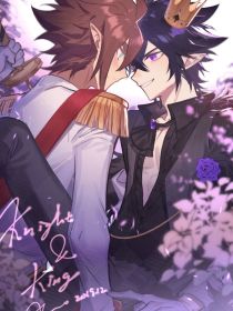 骑士与骑士夫人