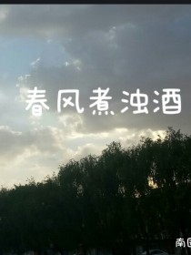 春风煮浊酒