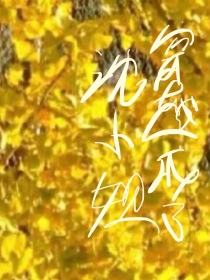 穿越成了反派女主