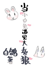 当小白兔遇见大灰狼