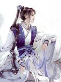将军小姐又跑啦！