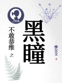 不敢恭维之黑瞳