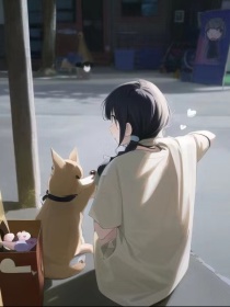 火影：凤凰涅槃时