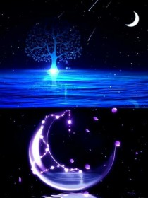 带着物资回古代