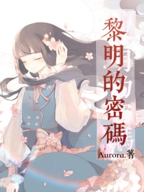 黎明的密码