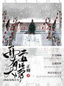 西安有场大雪