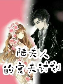 陆夫人的宠夫计划