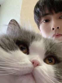 Gemini：嫁入豪门就是爽