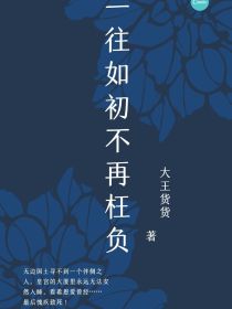 一往如初不再枉负