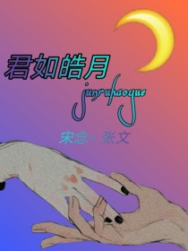 君如皓月