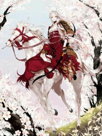 三国之女将诺红颜