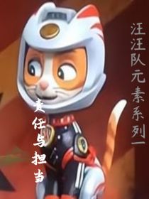 汪汪队元素系列1：责任与担当