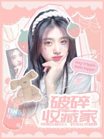 韩娱：破碎收藏家