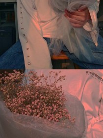 宠的无限额度