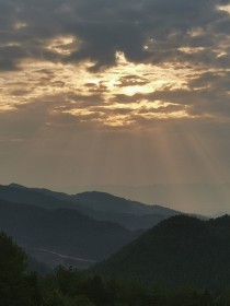 为爱沉默的人