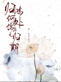 归鸿何处绵绵无归期