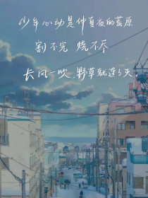 城泽许你