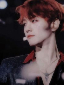 全明星：娇宠