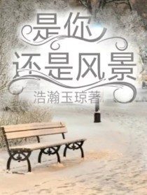 是你还是风景
