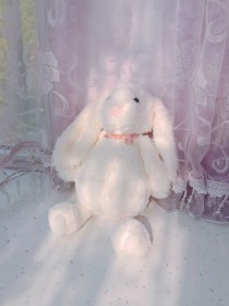 足够可爱就好