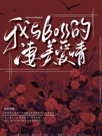 我与BOSS的凄美爱情