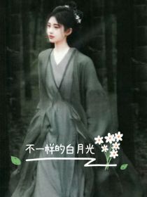 TNT：不一样的白月光