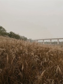 群狼传