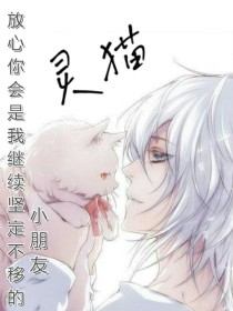 灵猫传说