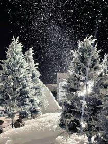 震惊：恶毒女配居然被团宠了！