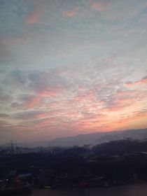 作者废话（日记）