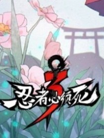 忍者必须死3（正经）