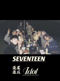 SEVENTEEN：追星追成idol