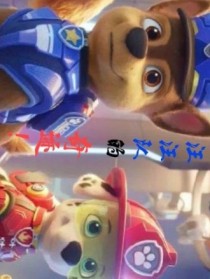 汪汪队的奇迹！