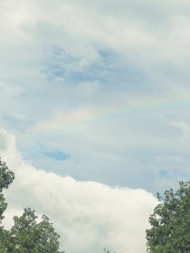 曾陪你淋过倾盆大雨
