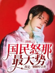 韩娱之国民怒那最大势