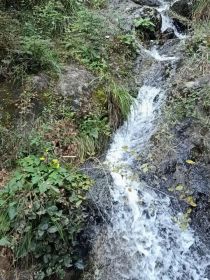 毁灭全人类1RE重制版