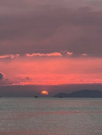 你是我仅存的心动