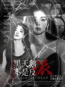 TF家族：黑天鹅不是反派？