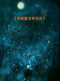 系统宿主有点冷