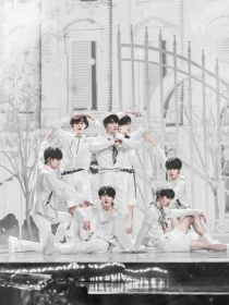 TNT：我们的经纪人不一般